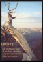Quality Inspirational Plaque (a gift of inspiration and motivation)